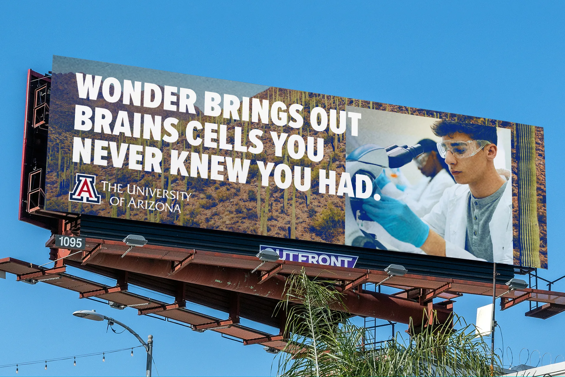 Image for CS-UofA-Wonder_OOH – Wonder Brings New Brain Cells