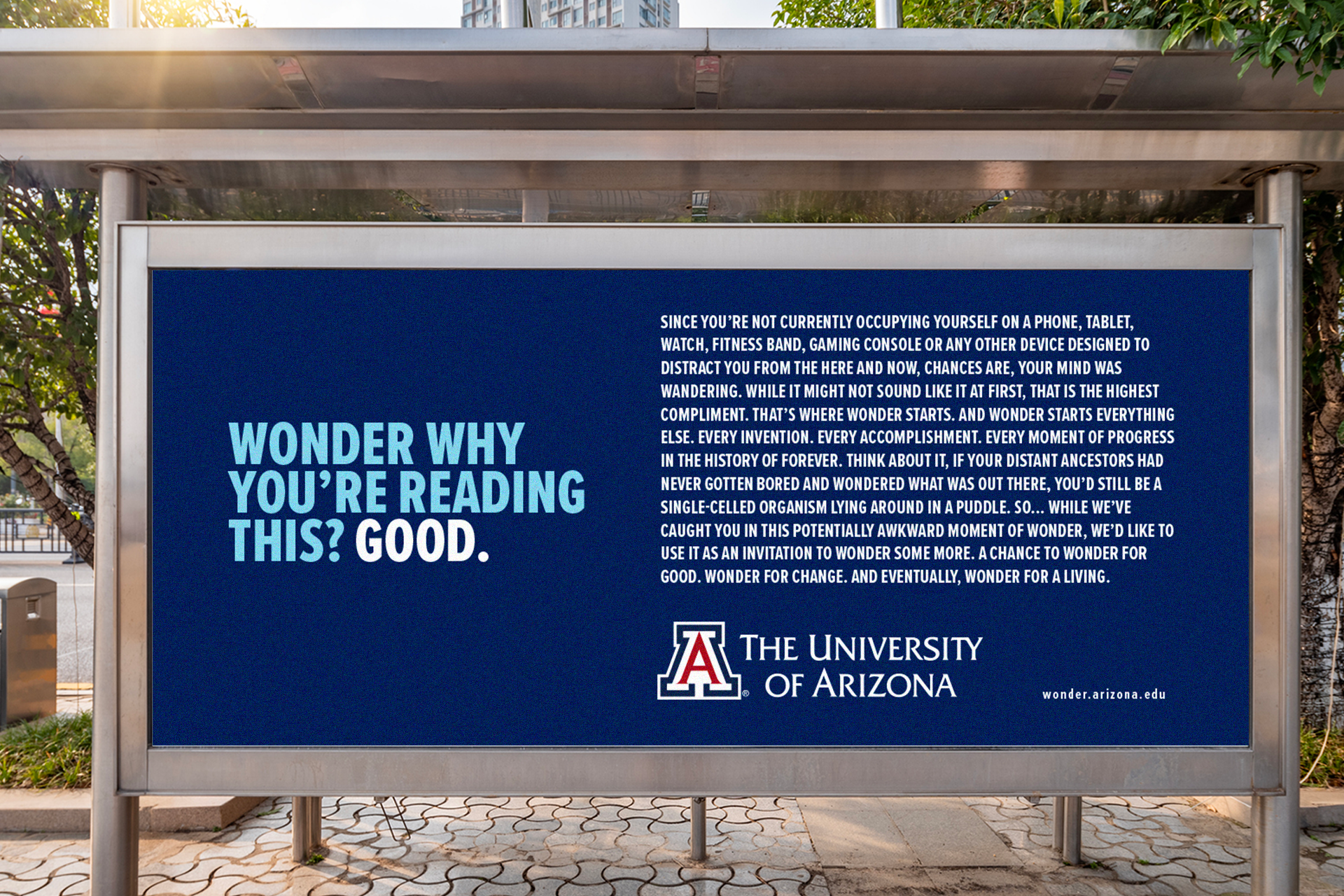 Image for CS-UofA-Wonder_OOH-BusShelter2 – Wonder Why