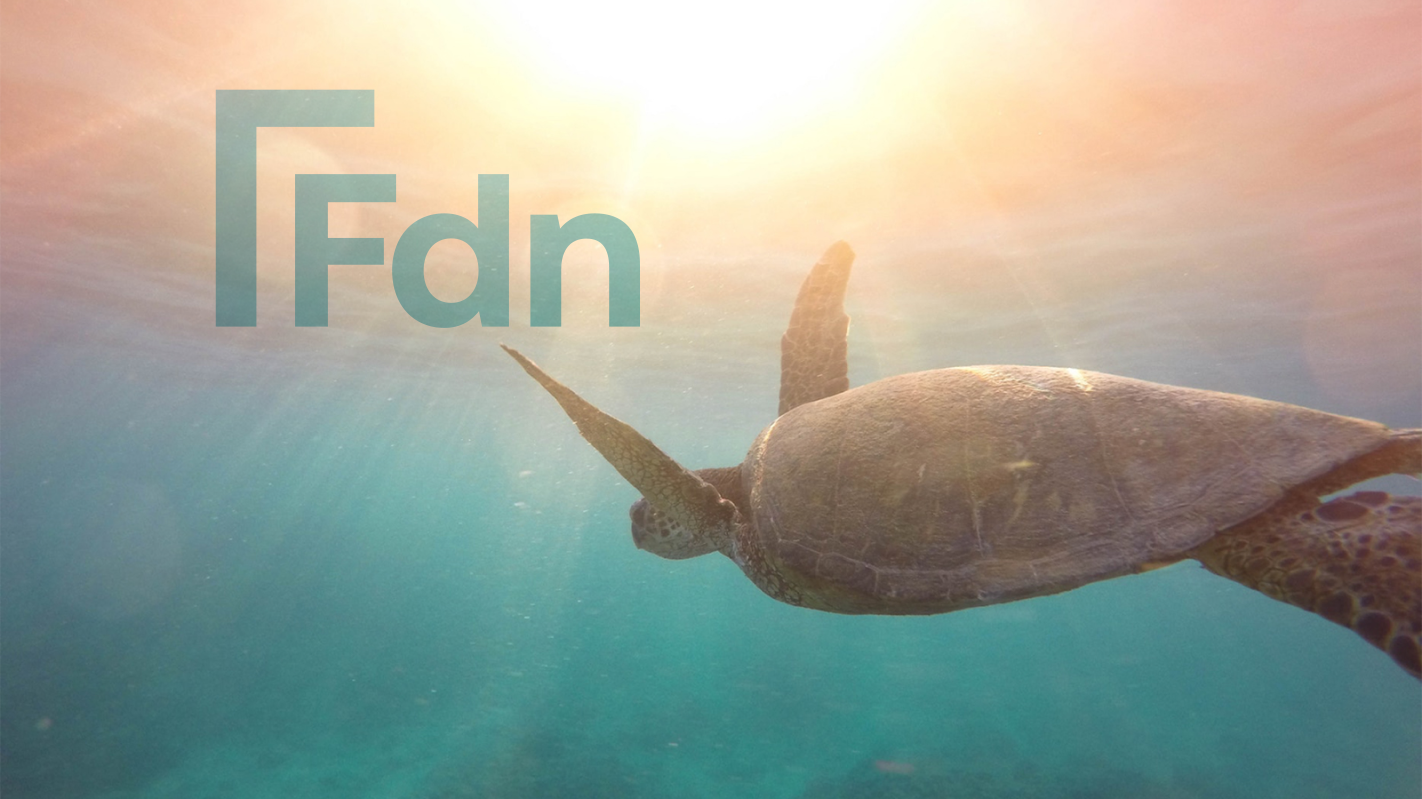 turtle swimming in ocean with Riester Fdn Logo